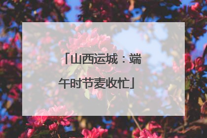 山西运城：端午时节麦收忙