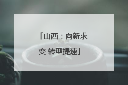 山西：向新求变 转型提速