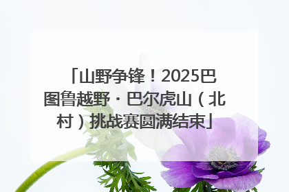 山野争锋！2025巴图鲁越野・巴尔虎山（北村）挑战赛圆满结束