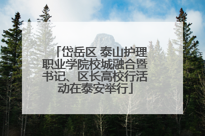 岱岳区 泰山护理职业学院校城融合暨书记、区长高校行活动在泰安举行