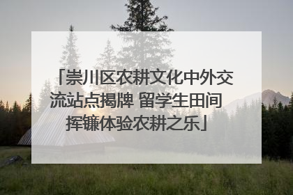 崇川区农耕文化中外交流站点揭牌 留学生田间挥镰体验农耕之乐