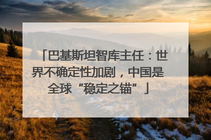 巴基斯坦智库主任：世界不确定性加剧，中国是全球“稳定之锚”