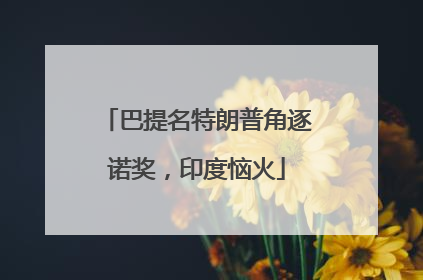 巴提名特朗普角逐诺奖，印度恼火