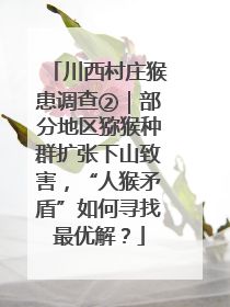 川西村庄猴患调查②｜部分地区猕猴种群扩张下山致害，“人猴矛盾”如何寻找最优解？