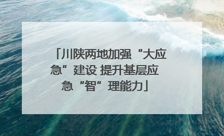 川陕两地加强“大应急”建设 提升基层应急“智”理能力