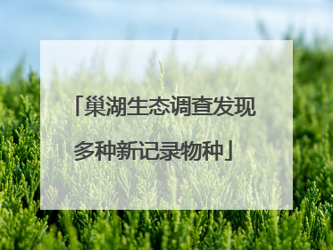 巢湖生态调查发现多种新记录物种