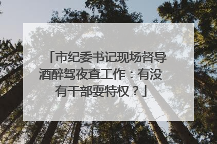 市纪委书记现场督导酒醉驾夜查工作：有没有干部耍特权？