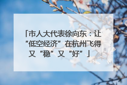 市人大代表徐向东：让“低空经济”在杭州飞得又“稳”又“好”