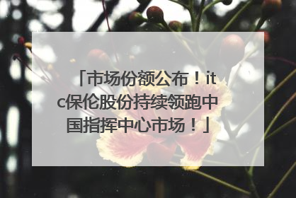 市场份额公布！itc保伦股份持续领跑中国指挥中心市场！