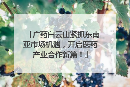 广药白云山紧抓东南亚市场机遇，开启医药产业合作新篇！