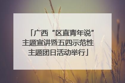 广西“区直青年说”主题宣讲暨五四示范性主题团日活动举行