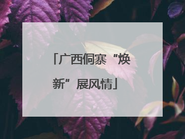 广西侗寨“焕新”展风情