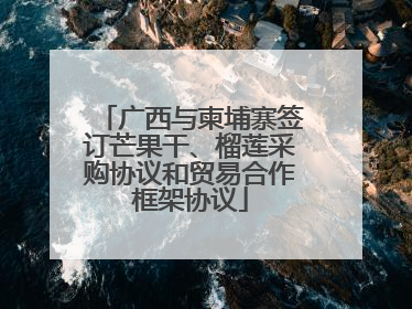 广西与柬埔寨签订芒果干、榴莲采购协议和贸易合作框架协议