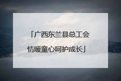 广西东兰县总工会情暖童心呵护成长