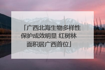 广西北海生物多样性保护成效明显 红树林面积居广西首位