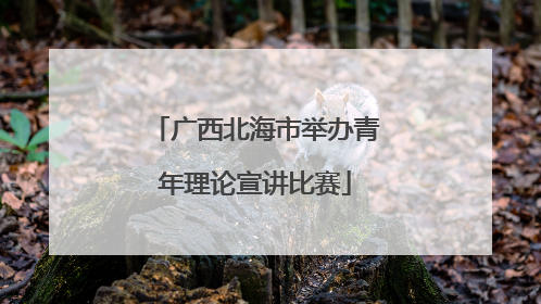 广西北海市举办青年理论宣讲比赛