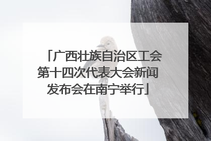 广西壮族自治区工会第十四次代表大会新闻发布会在南宁举行