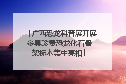 广西恐龙科普展开展 多具珍贵恐龙化石骨架标本集中亮相