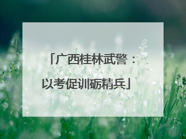 广西桂林武警：以考促训砺精兵