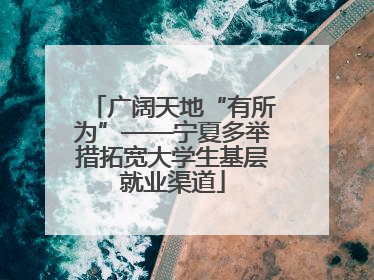 广阔天地“有所为”——宁夏多举措拓宽大学生基层就业渠道