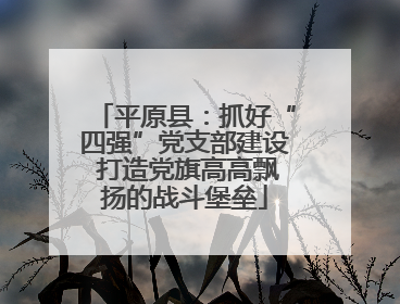 平原县：抓好“四强”党支部建设 打造党旗高高飘扬的战斗堡垒