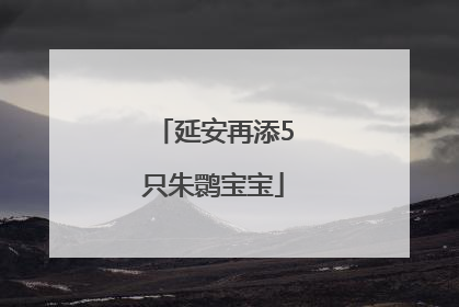 延安再添5只朱鹮宝宝