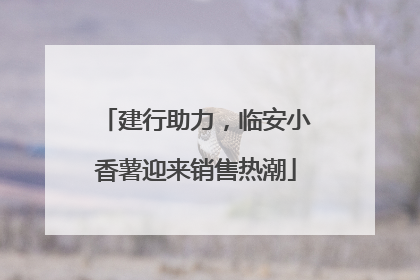 建行助力，临安小香薯迎来销售热潮