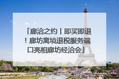 廊洽之约丨即买即退！廊坊离境退税服务端口亮相廊坊经洽会
