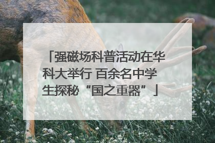强磁场科普活动在华科大举行 百余名中学生探秘“国之重器”