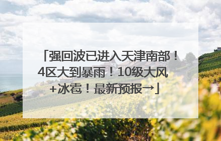 强回波已进入天津南部！4区大到暴雨！10级大风+冰雹！最新预报→