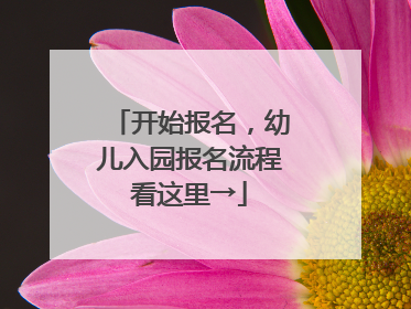 开始报名，幼儿入园报名流程看这里→