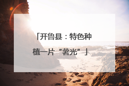 开鲁县：特色种植一片“薯光”