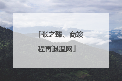 张之臻、商竣程再退温网