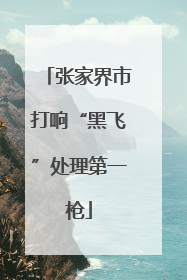 张家界市打响“黑飞”处理第一枪