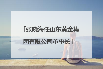 张晓海任山东黄金集团有限公司董事长