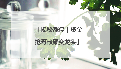 揭秘涨停｜资金抢筹核聚变龙头