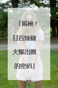 揭秘！甘谷辣椒火爆出圈的密码