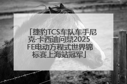 捷豹TCS车队车手尼克·卡西迪问鼎2025 FE电动方程式世界锦标赛上海站冠军