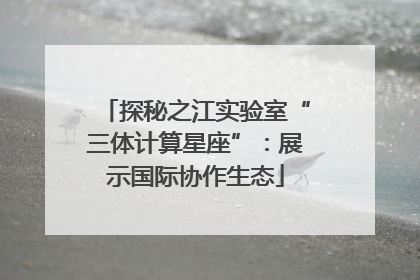 探秘之江实验室“三体计算星座”：展示国际协作生态