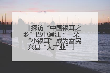 探访“中国银耳之乡”巴中通江：一朵“小银耳”成为富民兴县“大产业”