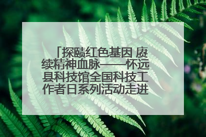 探赜红色基因 赓续精神血脉——怀远县科技馆全国科技工作者日系列活动走进怀远县实验中学