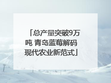 总产量突破9万吨 青岛蓝莓解码现代农业新范式
