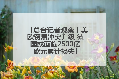 总台记者观察丨美欧贸易冲突升级 德国或面临2500亿欧元累计损失