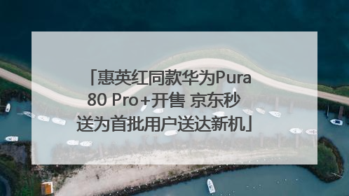 惠英红同款华为Pura 80 Pro+开售 京东秒送为首批用户送达新机