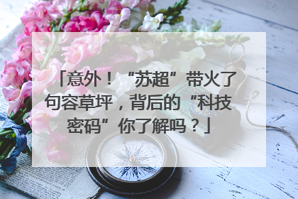 意外!“苏超”带火了句容草坪,背后的“科技密码”你了解吗?
