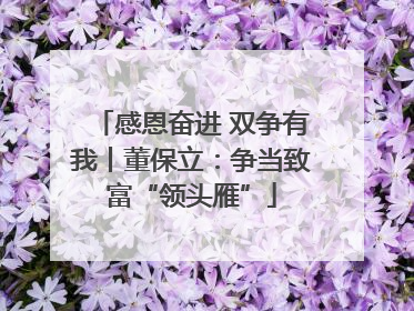 感恩奋进 双争有我丨董保立：争当致富“领头雁”
