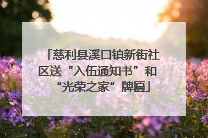 慈利县溪口镇新街社区送“入伍通知书”和“光荣之家”牌匾