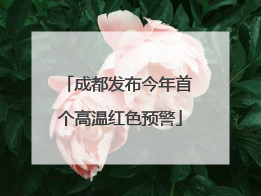 成都发布今年首个高温红色预警