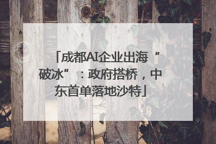 成都AI企业出海“破冰”：政府搭桥，中东首单落地沙特