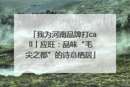 我为河南品牌打call丨应旺：品味“毛尖之都”的诗意栖居